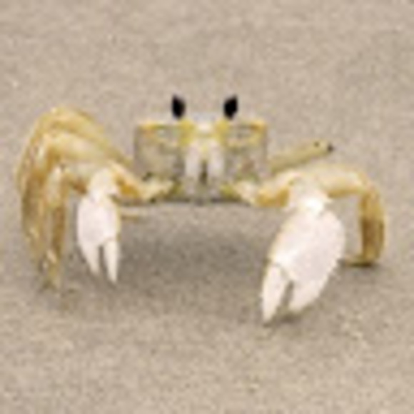 Meet your Posher, R & n - Picture 1 of 1